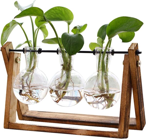 Plant Terrarium with Wooden Stand – 3-Bulb Glass Vase Hydroponic Japandi Tabletop Planter