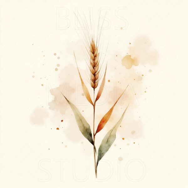 12 Barley Botanical Prints – Chateaucore Wall Art Set (Digital Download) - Image 12
