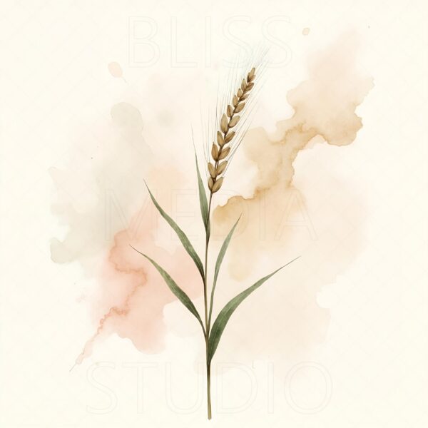 12 Barley Botanical Prints – Chateaucore Wall Art Set (Digital Download) - Image 9