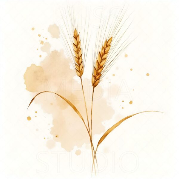 12 Barley Botanical Prints – Chateaucore Wall Art Set (Digital Download) - Image 4