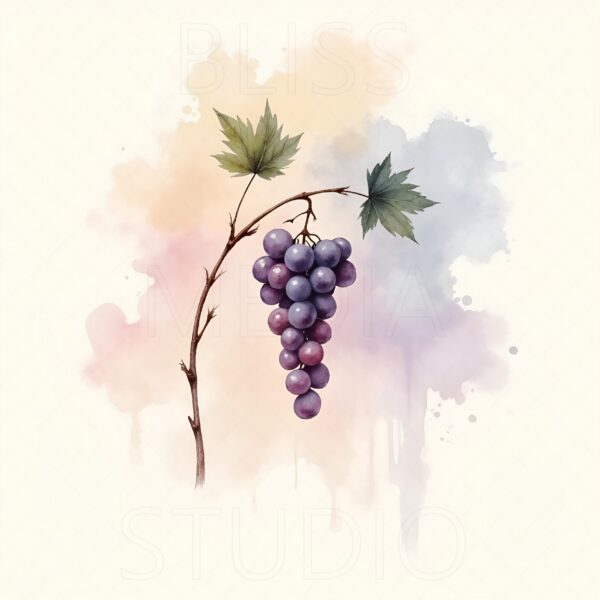 14 Grape Vine Botanical Prints – Chateaucore Wall Art Set (Digital Download) - Image 10