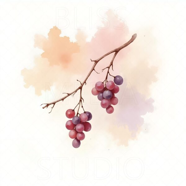 14 Grape Vine Botanical Prints – Chateaucore Wall Art Set (Digital Download) - Image 12