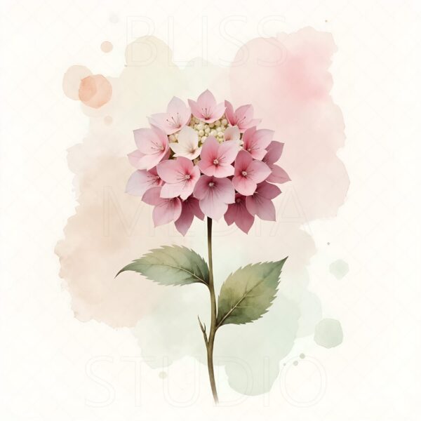 14 Hydrangea Botanical Prints – Chateaucore Wall Art Set (Digital Download) - Image 5