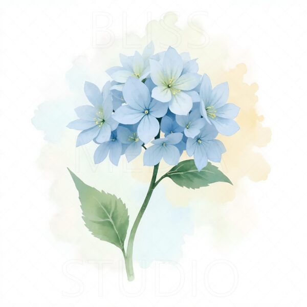 14 Hydrangea Botanical Prints – Chateaucore Wall Art Set (Digital Download) - Image 8