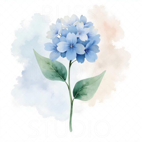 14 Hydrangea Botanical Prints – Chateaucore Wall Art Set (Digital Download) - Image 10