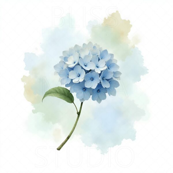 14 Hydrangea Botanical Prints – Chateaucore Wall Art Set (Digital Download) - Image 11
