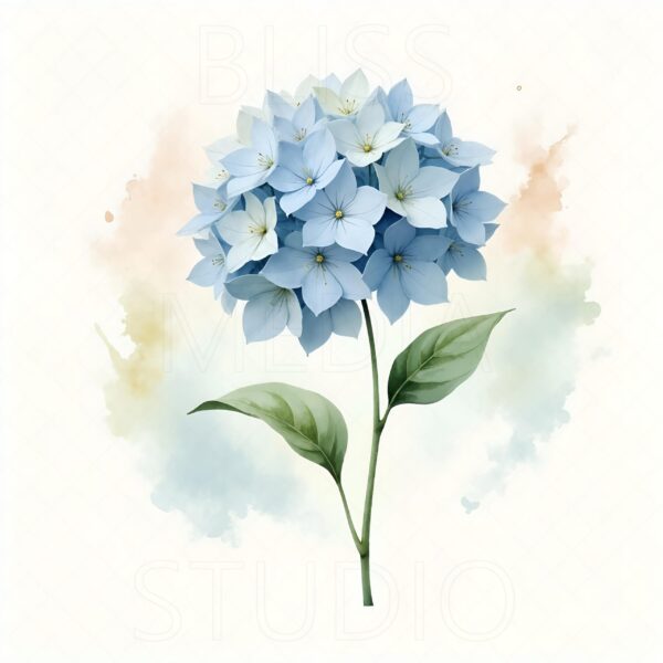 14 Hydrangea Botanical Prints – Chateaucore Wall Art Set (Digital Download) - Image 13