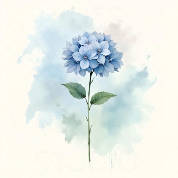 14 Hydrangea Botanical Prints – Chateaucore Wall Art Set (Digital Download) - Image 14