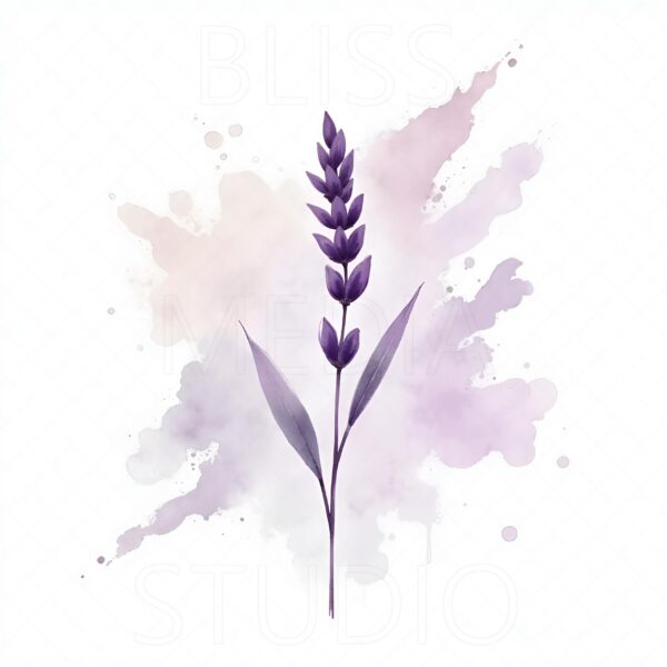 16 Lavender Botanical Prints – Chateaucore Wall Art Set (Digital Download) - Image 3