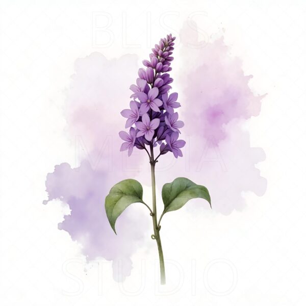 15 Lilac Botanical Prints – Chateaucore Wall Art Set (Digital Download) - Image 7