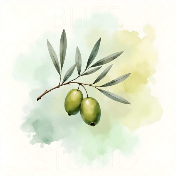 15 Olive Branch Botanical Prints – Chateaucore Wall Art Set (Digital Download) - Image 5