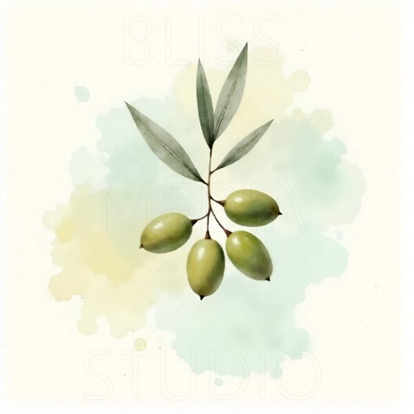 15 Olive Branch Botanical Prints – Chateaucore Wall Art Set (Digital Download) - Image 7