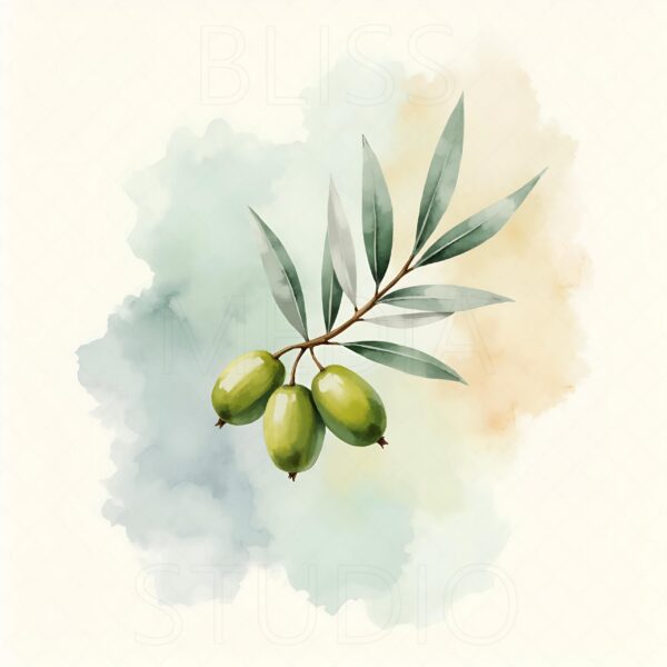 15 Olive Branch Botanical Prints – Chateaucore Wall Art Set (Digital Download) - Image 8