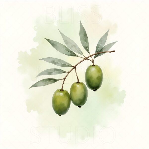 15 Olive Branch Botanical Prints – Chateaucore Wall Art Set (Digital Download) - Image 10