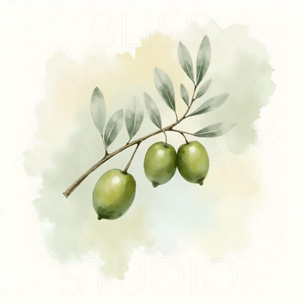 15 Olive Branch Botanical Prints – Chateaucore Wall Art Set (Digital Download) - Image 14